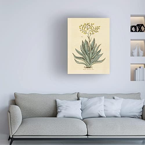 סימן מסחרי אמנות 'צמחי מרפא בוטניים XXXI' אמנות קנבס מאת תיק אפל פראי