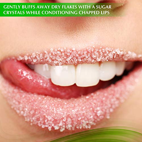 פילינג תה ירוק מאצ ' ה קרצוף שפתיים סוכר, טיפול לחות לשפתיים יבשות, סדוקות וסדוקות, פתרון הקילוף הטוב ביותר לשפתיים שמנמנות וצעירות יותר,