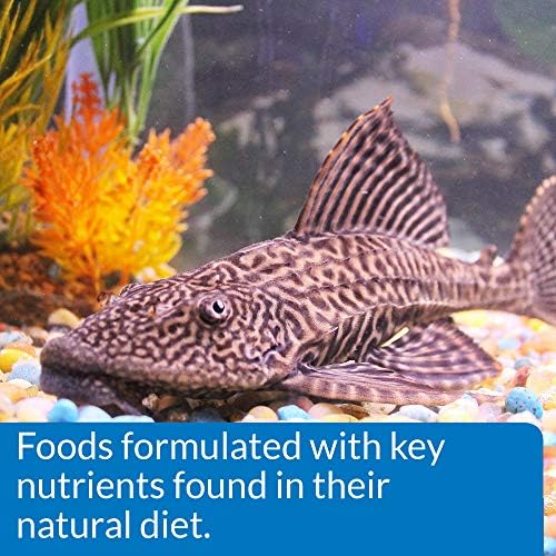אפי אצות אוכל ופלים אצות רקיק דגי מזון 1.3-אונקיה מיכל