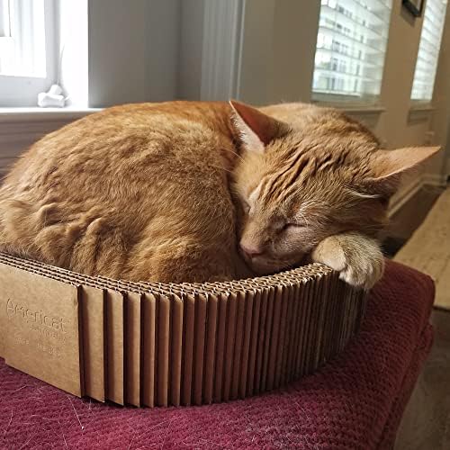 מיטת גרדן לחתולים מאת אמריקאט-תוצרת ארה ' ב משטח גירוד מקרטון, מיטה וכיסא – גדול, כבד, ללא שפיכה, עמיד לאורך זמן