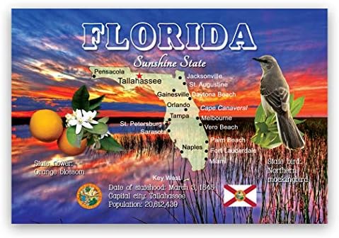 פלורידה מפת גלויה סט של 20 גלויות זהות. פלורידה מפת המדינה גלויות. תוצרת ארצות הברית.
