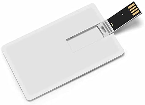 גיאנה ארהב דגל כרטיס אשראי USB כונני פלאש בהתאמה אישית מזיכרון מקל מפתח מתנות תאגידיות ומתנות לקידום מכירות 32 גרם
