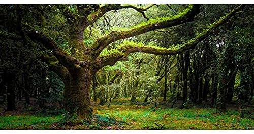 AWERT 30X12 אינץ 'יער עמוק רקע רקע אקווריום טרופי רקע עצים ענקיים זוחל בית גידול רקע ויניל
